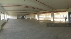 Loyang Industrial Estate (D17), Factory #301125231